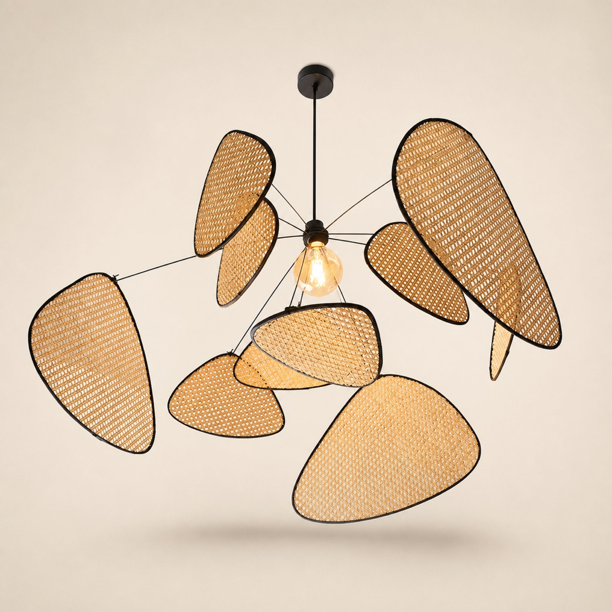 Grandes suspensions XXL Image